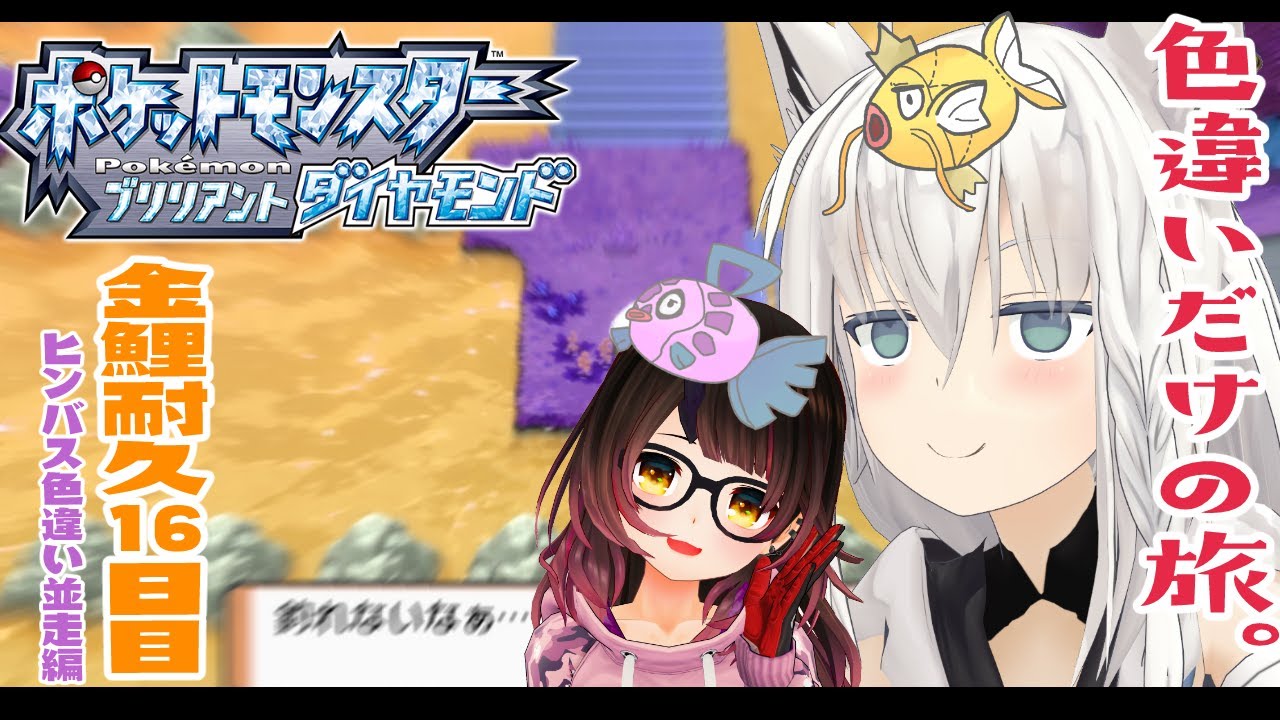 ポケモンbdsp 色違い旅パ 金コイ耐久16日目 ホロライブ 白上フブキ Holostats